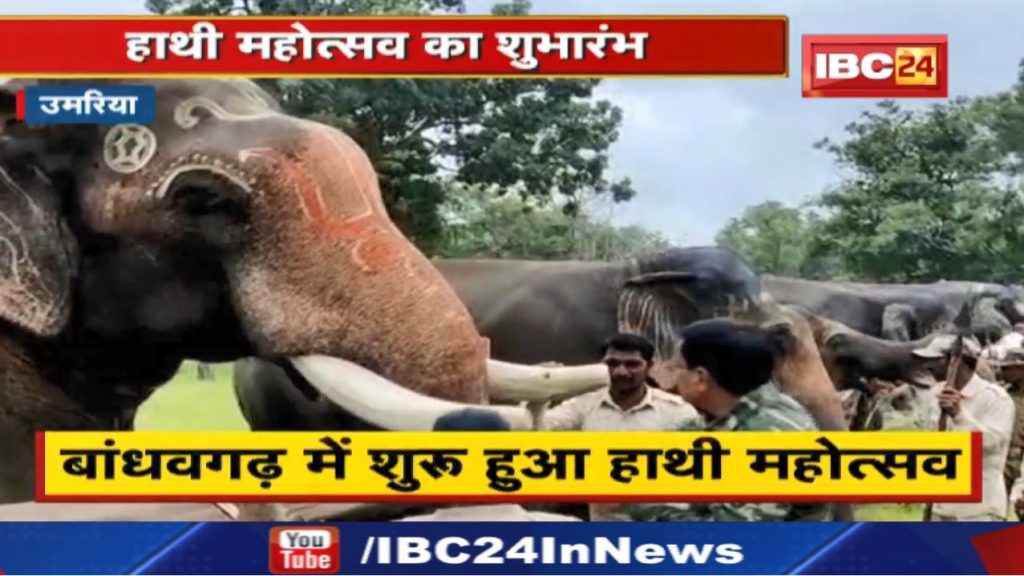 Haathi Mahotsav: Unique Elephant Festival is held in Bandhavgarh. Elephants will be given favorite fruits to eat