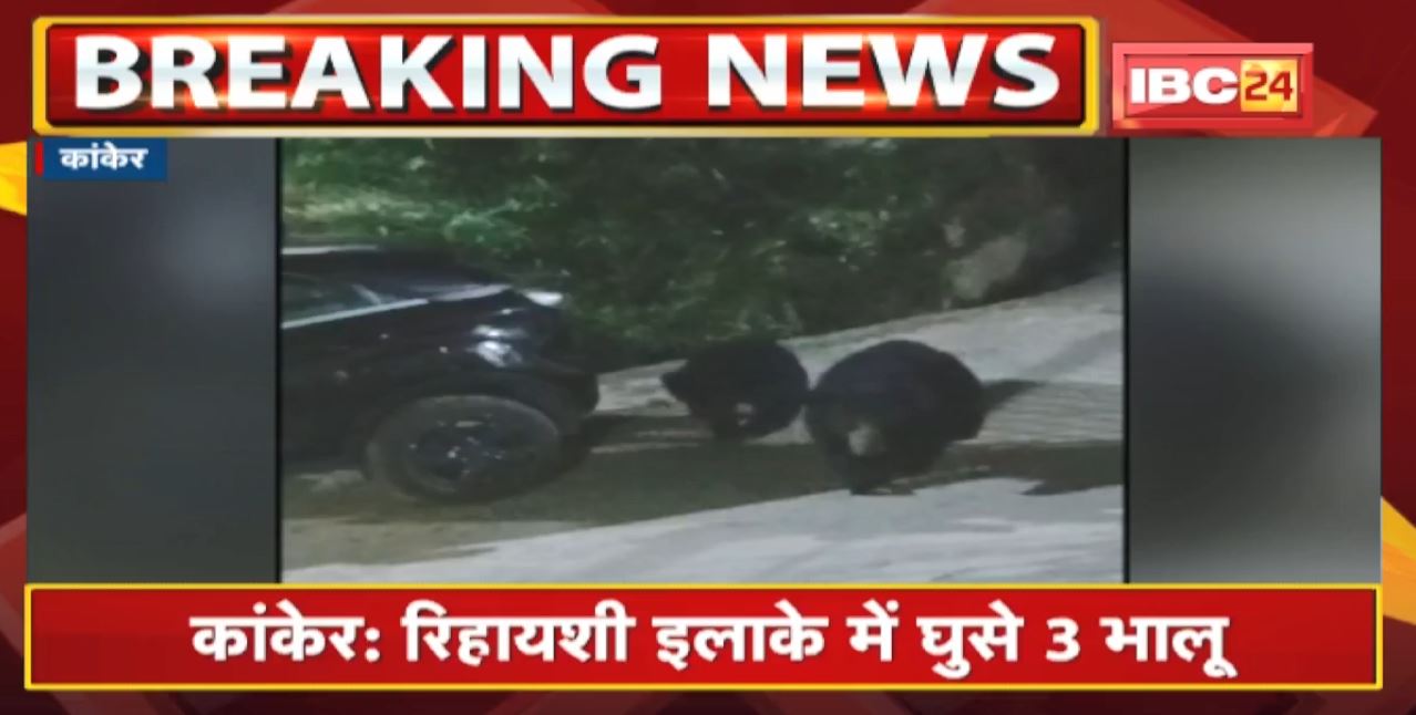 Kanker News : रिहायशी इलाके में घुसे 3 भालू | Forest Department और Police की टीम मौके पर