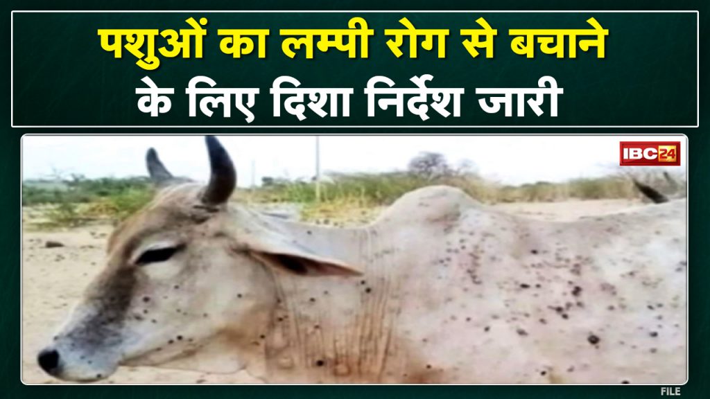 Lumpy Skin Disease: Instructions to save the patient. Lagis ban on the movement of cattle to another state
