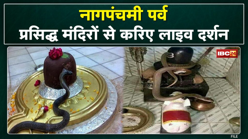 Naga Panchami 2022: On the day of Nagapanchami, sit at home and have a live darshan of the deity of Naga from the famous temples of the country.