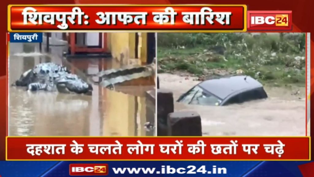 Shivpuri Flood : Crocodiles sitting in front of people's houses. Watch Video