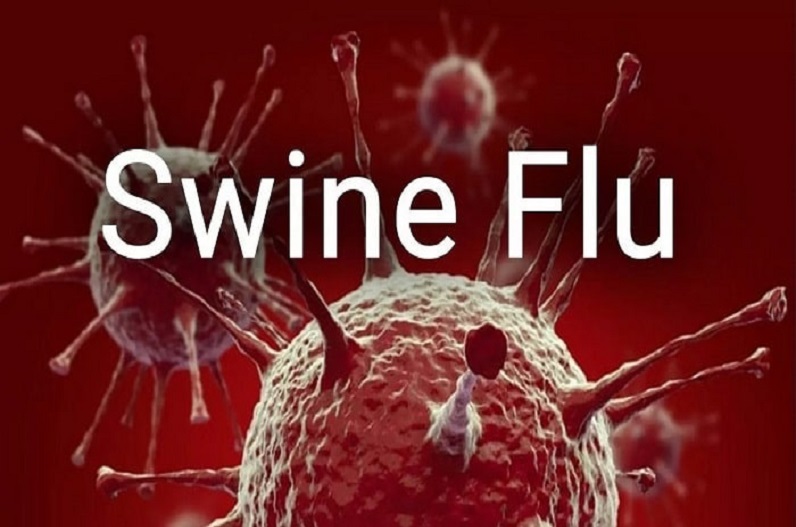 Swine flu became fatal in Chhattisgarh