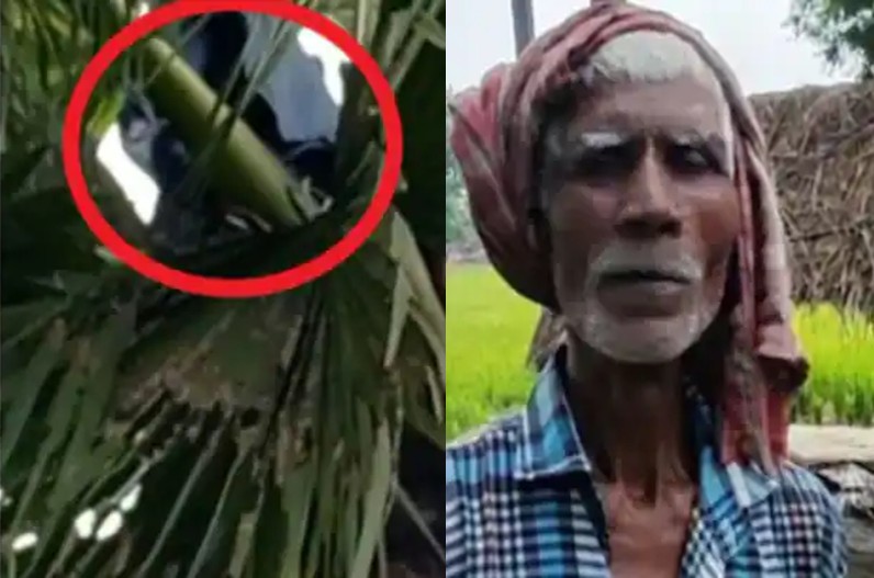 पत्नी का खौफ! महीने भर से 100 फीट ऊंचे पेड़ पर रह रहा पति, बोला- बहुत मारती है घरवाली