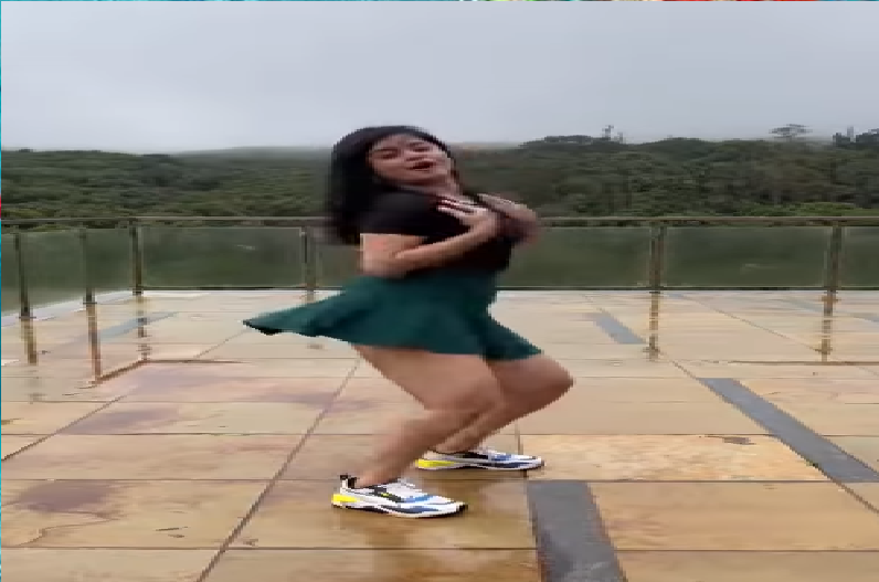 Spicejet Air Hostess Uma Meenakshi Viral Video: