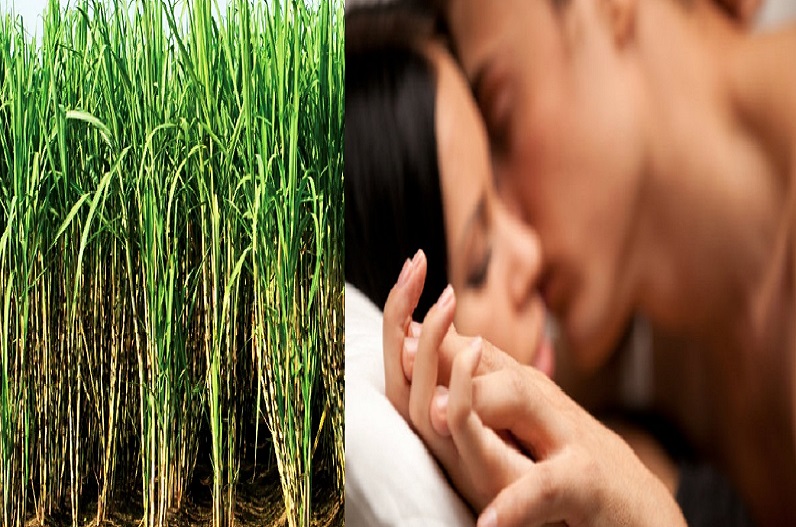 Honour Killing: गन्ने के खेत में युवक-युवती कर रहे थे रोमांस, आपत्तिजनक हालत में देखकर भड़के लड़की के परिजन, दी ऐसी सजा जिसे सुनकर कांप उठेगा आपका कलेजा