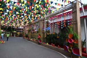 छत्तीसगढ़ की परम्परा और रीति रिवाज के अनुसार ठेठ पारंपरिक अंदाज में मुख्यमंत्री निवास के प्रांगण को सजाया गया है