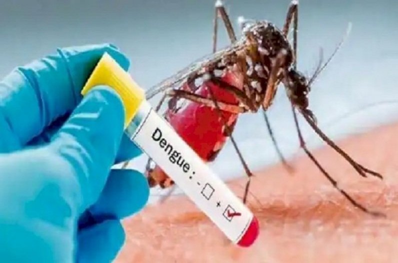 Dengue alert in raipur