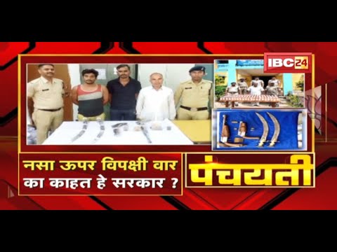 नसा ऊपर बिपक्ष वार..का काहत हे सरकार ? Intoxication | CG Politics | Panchayati