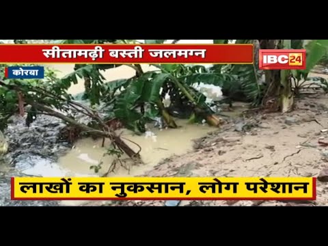 Korba में ज्यादा बारिश के कारण फूटी नहर | लाखों का नुकसान, लोग परेशान