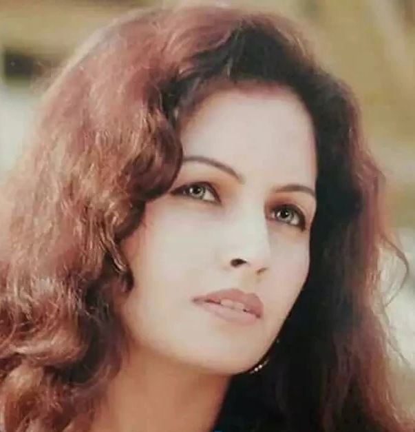 वह पंजाबी और हरियाणवी फिल्मों और म्यूजिक वीडियोज का भी हिस्सा रह चुकी हैं। हरियाणवी फिल्मों में सोनाली फोगाट ने साल 2019 में आई फिल्म ’छोरियां छोरों से कम नहीं होतीं’ से डेब्यू किया है।