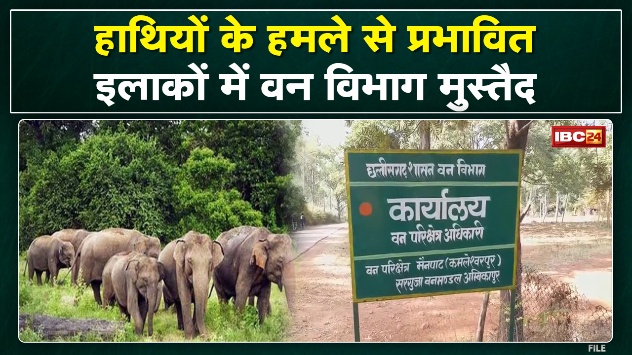 Forest department ready in elephant affected area in Ambikapur. Amarjit Bhagat visited the affected area