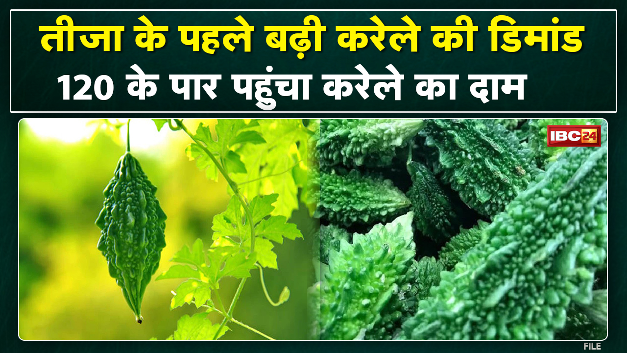 तीजा की रस्म..महंगा हुआ करेला। एक तो करेला..उपर से रेट रु 120/-,कड़ू-भात में खाई जाती है करेला सब्जी