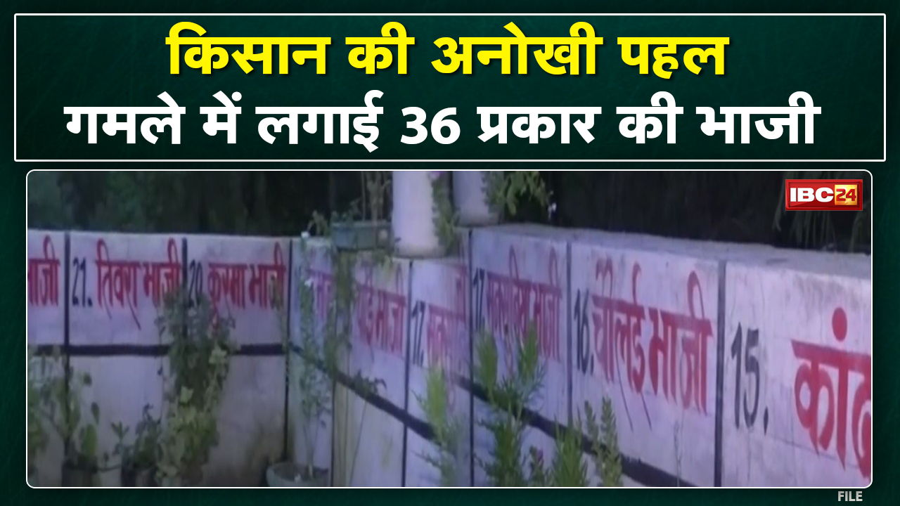 किसान ने गमले में लगाई Chhattisgarh की 36 भाजी | प्रयासों की स्थानीय किसानों ने की तारीफ