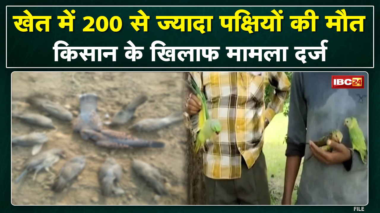 Bird Death: खेत में जहरीली दवा का छिड़काव | 200 से ज्यादा पक्षियों की मौत, किसान के खिलाफ मामला दर्ज