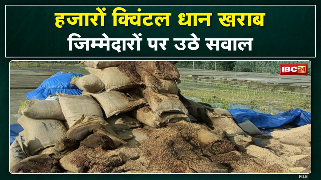 Here thousands of quintals of paddy got spoiled. With the rotting of the kept paddy, the sprouting happened ... the questions raised on the responsible ...