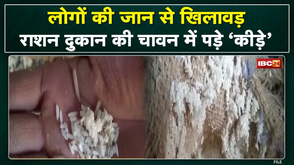 Insects and caterpillars found in rice of government ration shop. Impact of IBC24 news in Manendragarh