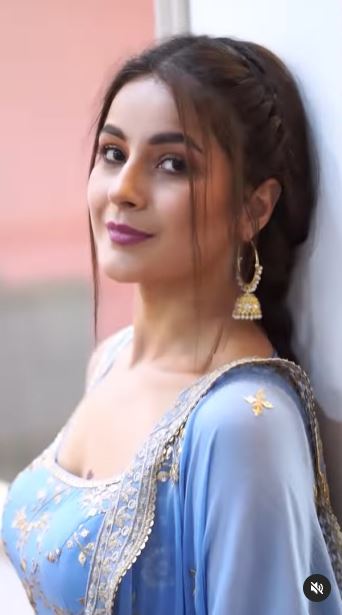 इसके अलावा शहनाज जॉन अब्राहम, रितेश देशमुख और नोरा फतेही के साथ फिल्म '100%' में भी नजर आएंगी।इतना ही नहीं शहनाज भूमि पेडनेकर, अनिल कपूर के साथ भी स्क्रीन शेयर करती दिखेंगी।