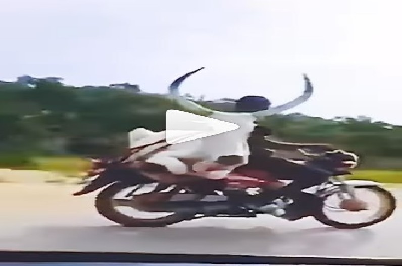 गाय को ट्रांसपोर्ट करने का ये तरीका देख हो जाएंगे हैरान, वीडियो हो रहा वायरल