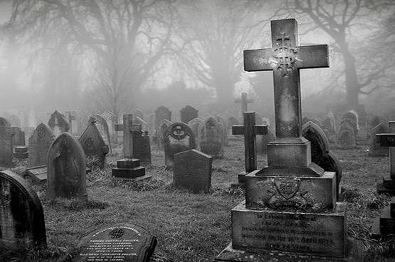 कब्रों से निकाले 440 से ज्यादा शव, वजह जानकर उड़ जाएंगे आपके होश