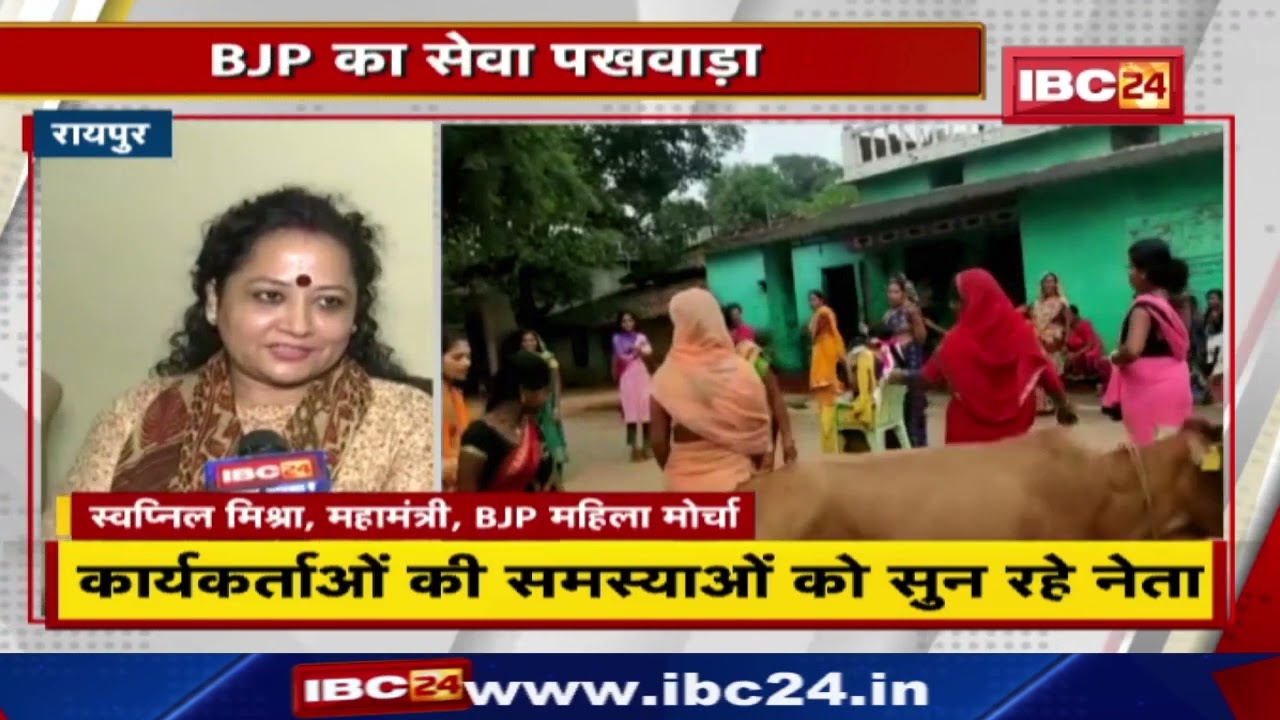 CG Political News: Raipur में BJP का सेवा पखवाड़ा | कार्यकर्ताओं की समस्याओं को सुन रहे नेता