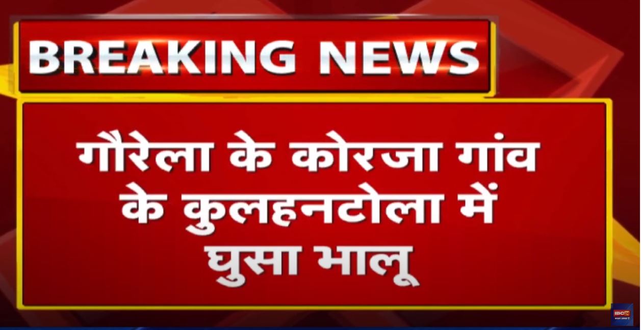 Gaurella News : गौरेला के कोरजा गांव के कुलहनटोला में घुसा भालू | डर से घरों में कैद हुए ग्रामीण…