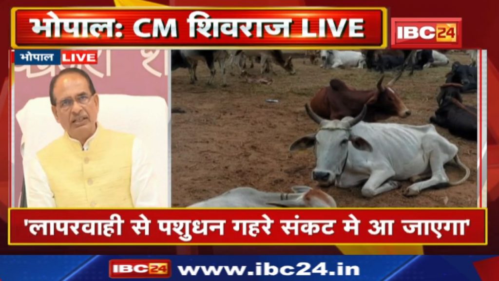 CM Shivraj regarding lumpi virus