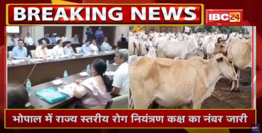 Shivraj Government in Action on Lumpy Virus