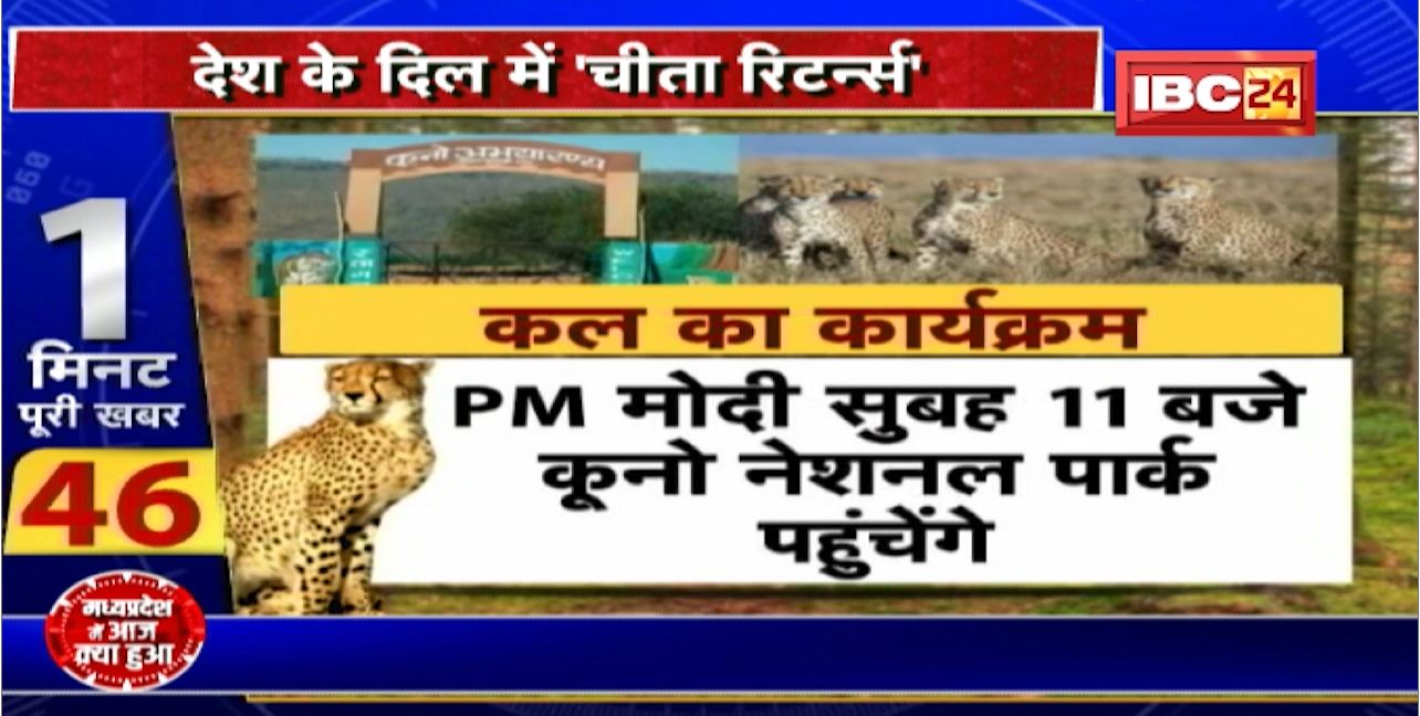 देश के दिल में ‘Cheetah Returns’ । 70 साल बाद पड़ेंगे चीते के कदम। सुबह 6 बजे Gwalior Airport पहुंचेंगे 8 चीते