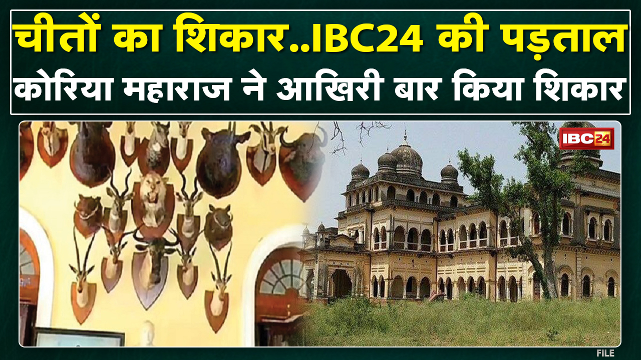 चीतों का शिकार..IBC24 की पड़ताल | ‘ग्रामीणों की गुहार पर Koriya Maharaj ने मारे थे 3 चीते’