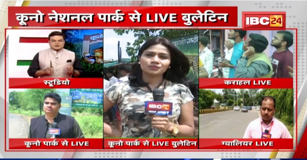 Cheetahs back To India Live Updates