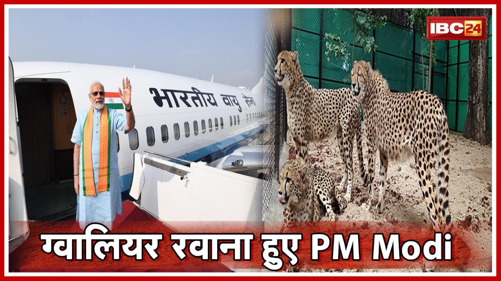 Cheetahs back to India Live Updates PM Modi leaves for Gwalior