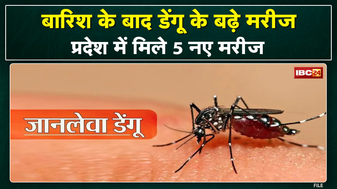 Dengue threat increased in Gwalior : ग्वालियर में आज मिले डेंगू के 5 मरीज…अब तक मिले 87 मरीज…
