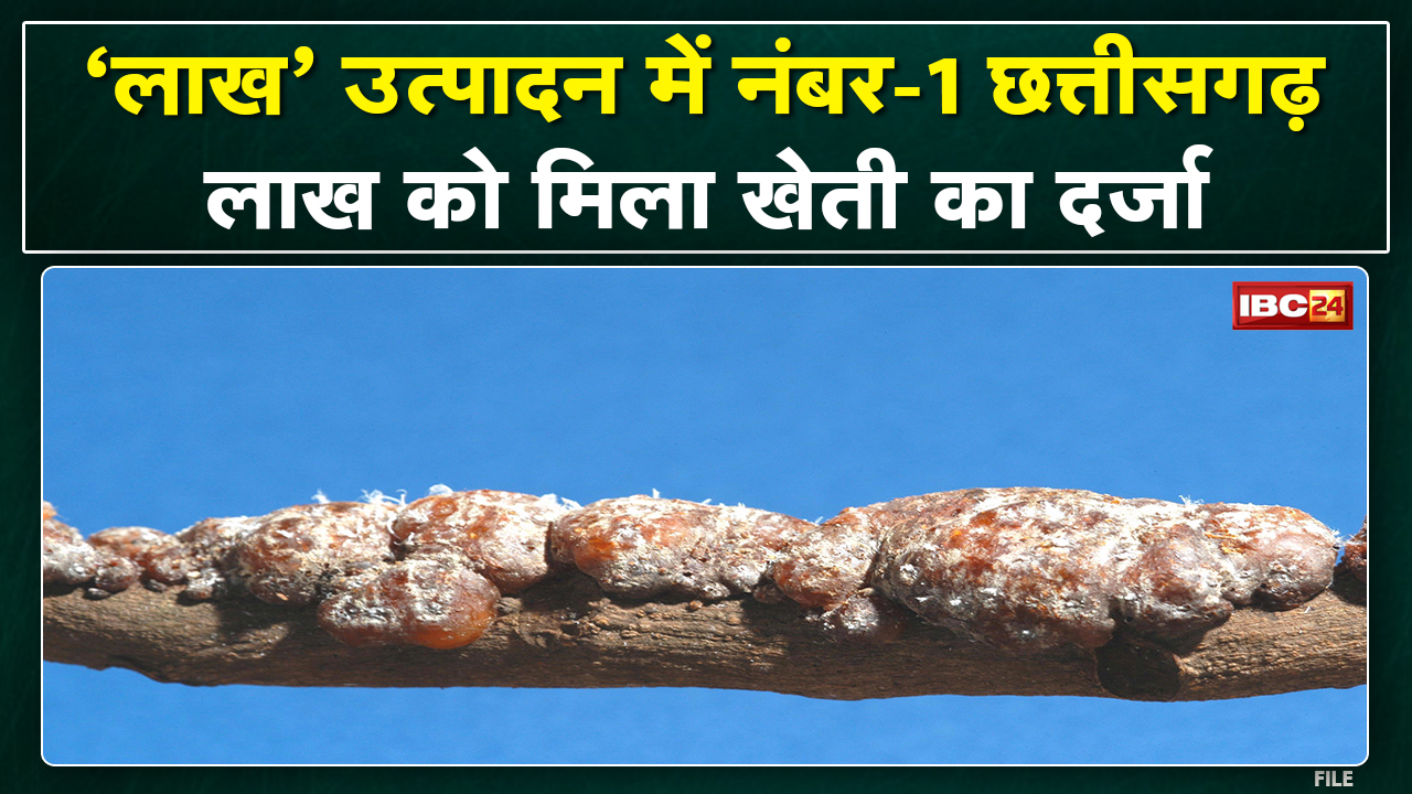 Farmers Training for Lac Cultivation in Bastar : लाख उत्पादन में छत्तीसगढ़ टॉप | मिला कृषि का दर्जा