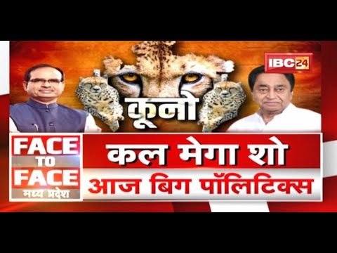 ‘कूनो’..कल मेगा शो..आज Big Politics | Kuno National Park | Cheetahs | FACE to FACE Madhya Pradesh
