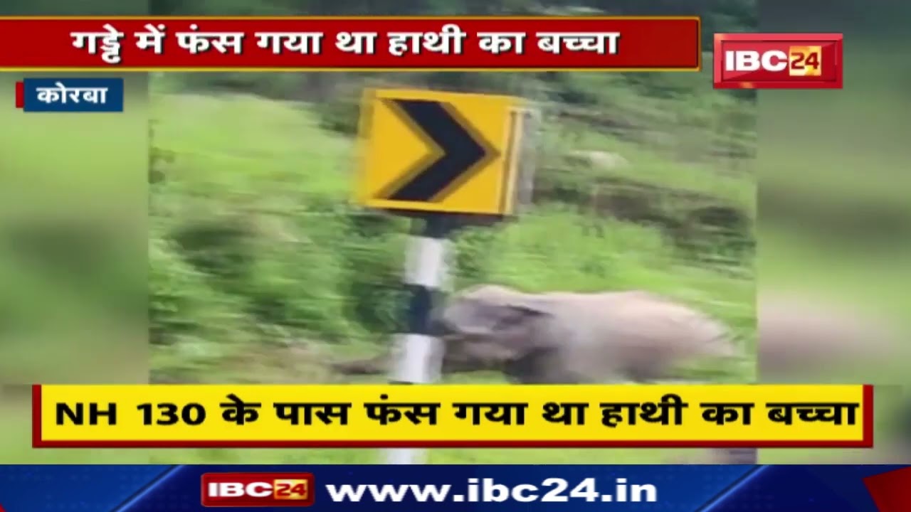 Korba : सड़क पार करते गड्ढे में फंसा नन्हा हाथी | वन विभाग ने JCB की मदद से किया सफल रेस्क्यू…