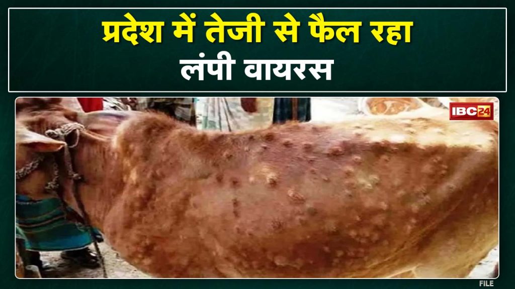 Lumpy Skin Disease in Madhya Pradesh