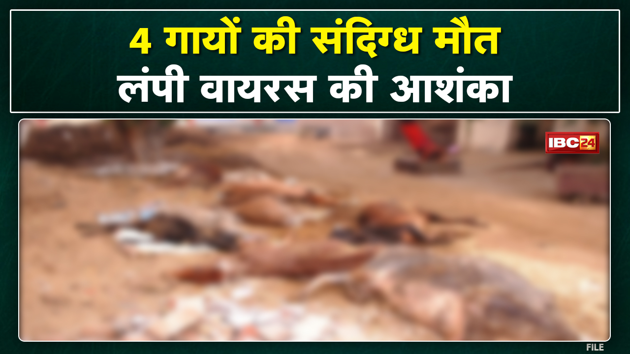 Lumpy Virus in Chhattisgarh : छत्तीसगढ़ में लंपी वायरस की दस्तक? गायों की मौत के बाद मचा हड़कंप…