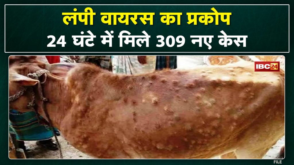 Lumpy virus kills 6 cows, 309 sick