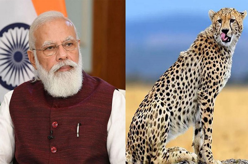 PM Modi took cognizance on the death of Kuno Cheetahs