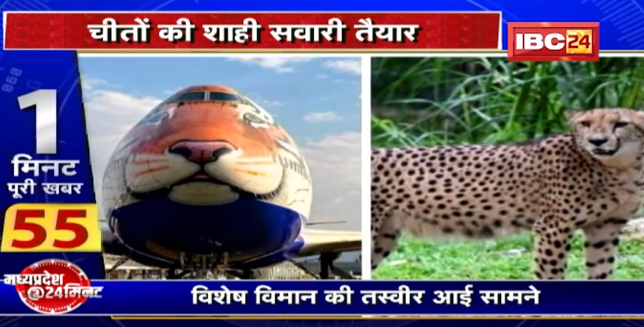 Namibian Cheetahs in MP : चीतों की पेंटिंग से सजा विमान। इसी खास विमान से भारत लाए जाएंगे 8 चीते