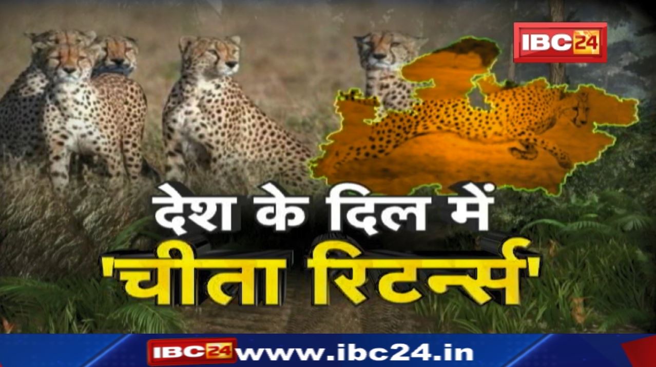 Kuno Palpur National Park : कूनो पार्क में बसेगा चीतों का कुनबा | 75 साल बाद होगी देश में वापसी…