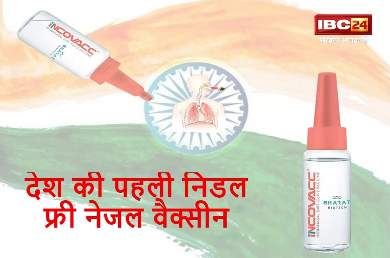 निडल फ्री ‘नेजल वैक्सीन’ को लेकर सारे सवालों के जबाव मिलेंगे यहां, देखें कीमत और फायदे की पूरी डिटेल