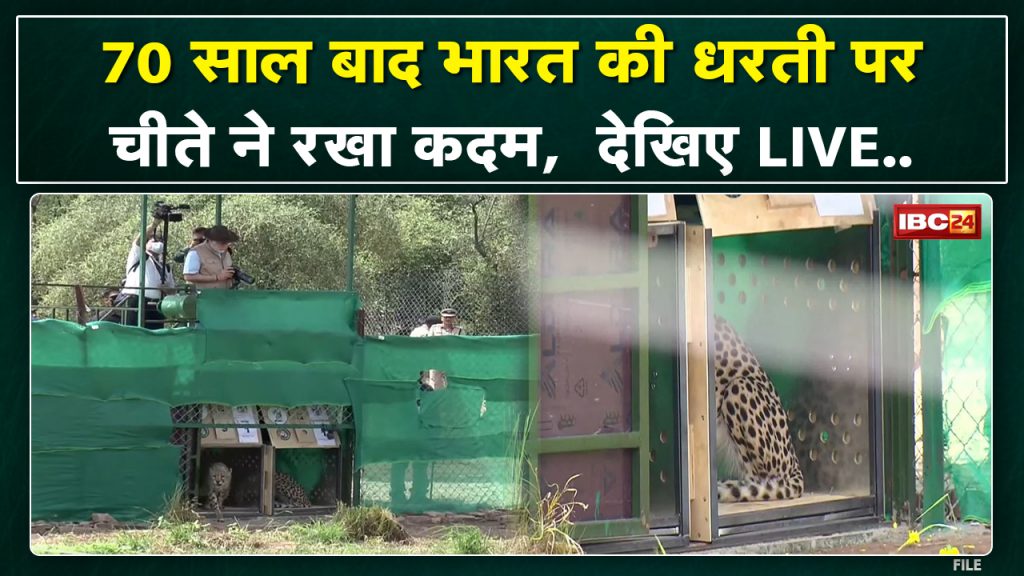 PM Modi releases cheetahs in Kuno National Park Live