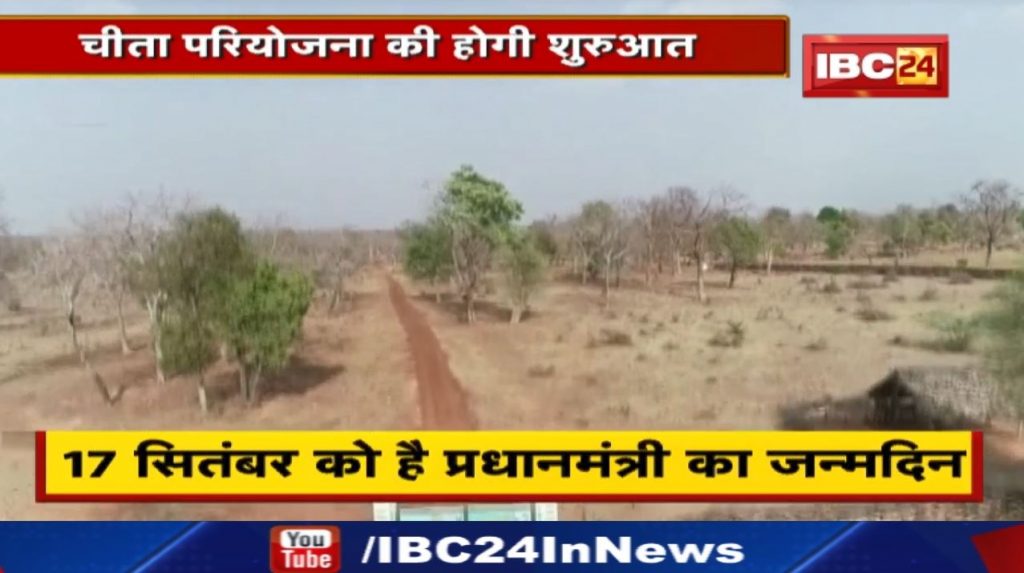 PM Modi to Celebrate Birthday at Kuno Park