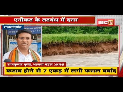 Rajnandgaon : एनीकट के तटबंध में दरार | कटाव होने से 7 एकड़ में लगी फसल बर्बाद
