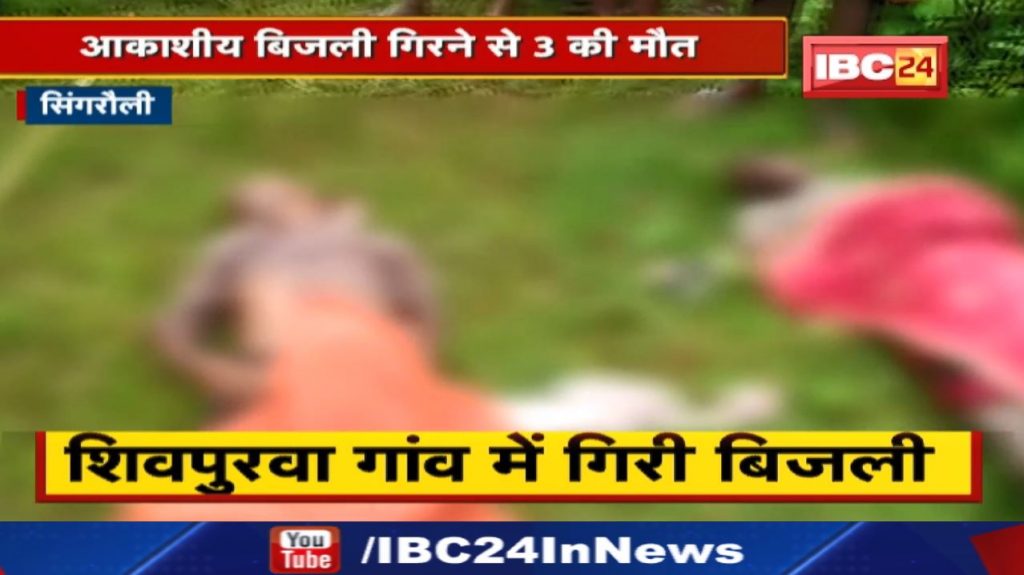 Singrauli : The villagers went to the forest to graze the animals. 3 killed, 3 injured due to lightning strike..