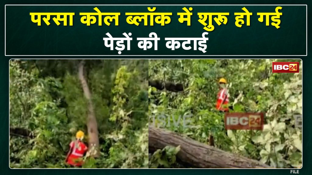 Tree felling started in Parsa Coal Block