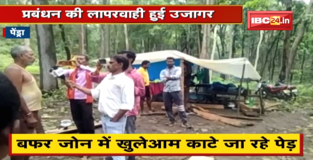 Achanakmar के Buffer Zone में खुलेआम काटे जा रहे पेड़ । पूरे मामले पर अधिकारियों ने साधी चुप्पी
