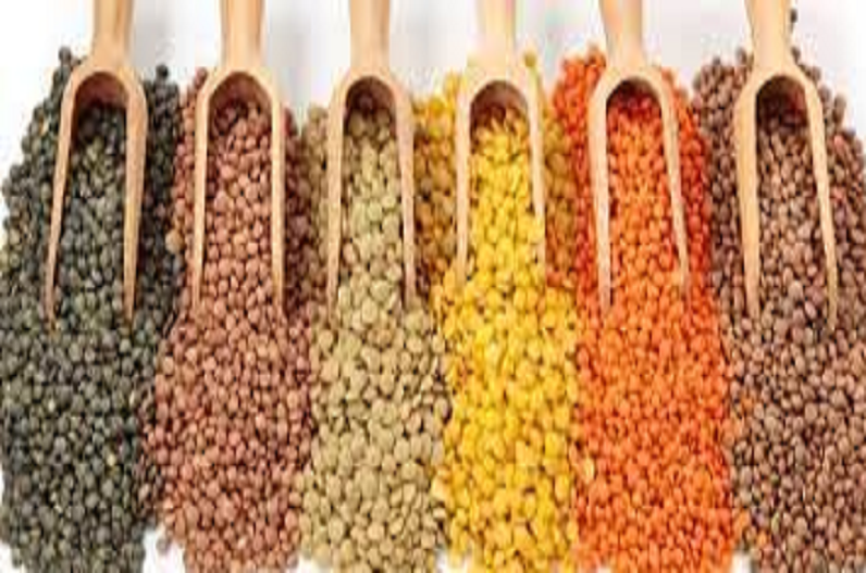 केंद्रीय कृषि मंत्री की किसानों को बड़ी सौगात, मूंग और उड़द की खरीदी में बंपर छूट, अब 25 की जगह इतने क्विंटल की प्रतिदिन होगी खरीदी