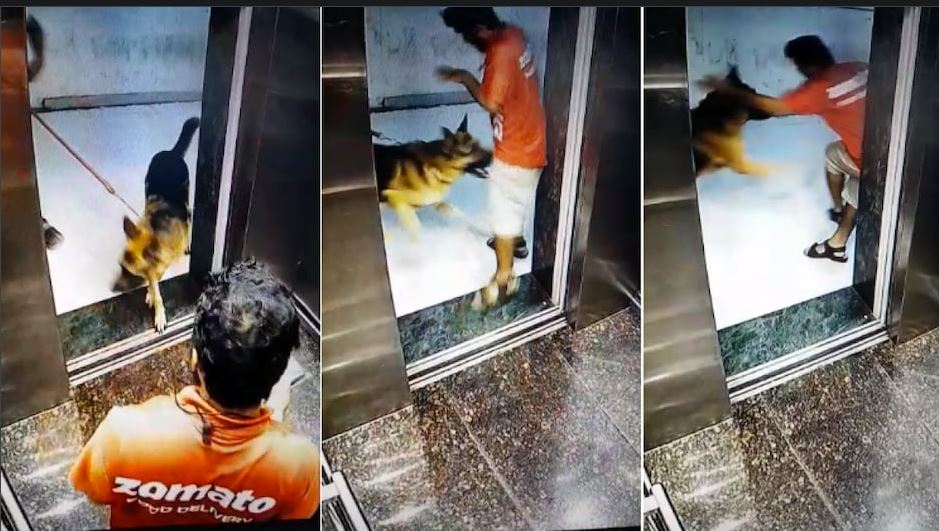 Dog bites private part of Zomato boy: डिलिवरी करने गए जोमैटो बॉय के प्राइवेट पार्ट को पालतू कुत्ते ने काटा, जमकर वायरल हो रहा ये वीडियो